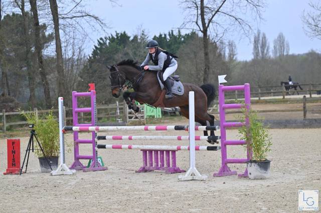 Cheval de cso 