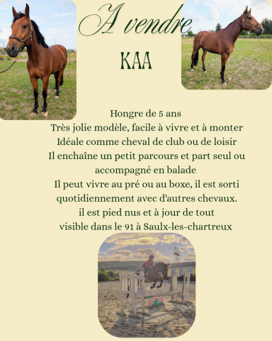 A vendre