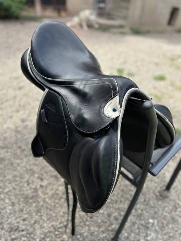 Selle zaria stubben