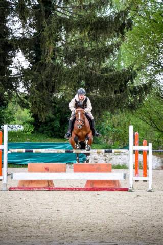 Ponette à vendre