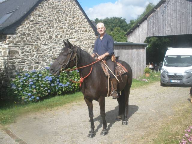 Cheval monté / attelé