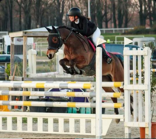 Ponette de sport 