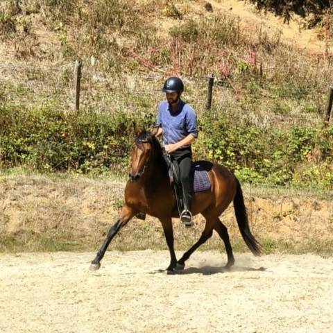 Garrida, f, lus, 9 ans