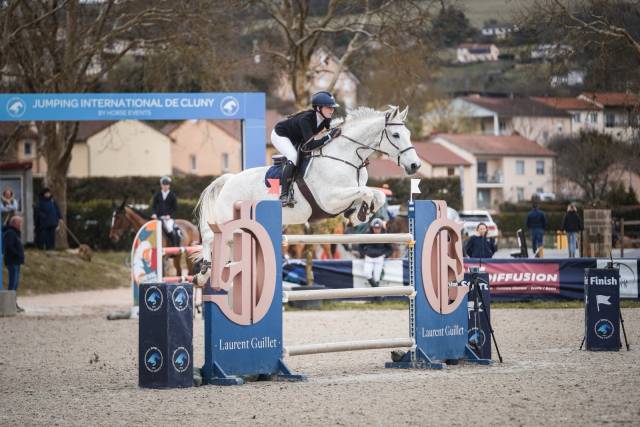 Képi vert du buisson z - cheval à vendre