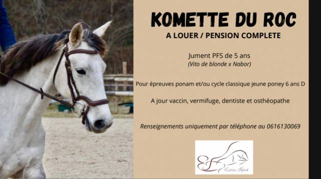 Poneys à louer