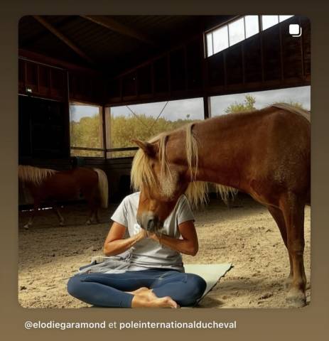 Shetland pp, 11 ans d'une gentillesse rare !