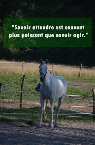 Pension travail / cours particuliers / stages