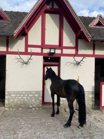 Django