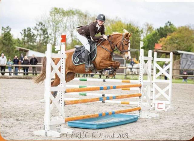 Ponette de compétition 
