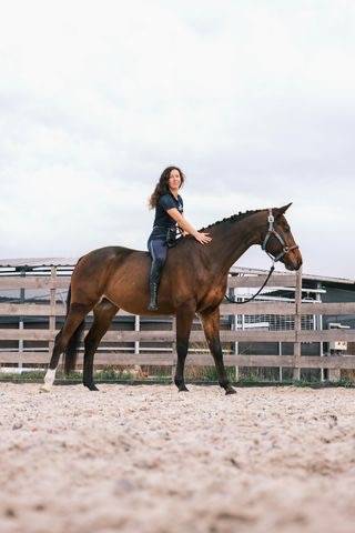 Hongre polyvalent 10 ans – amateur 2, prêt à sortir 