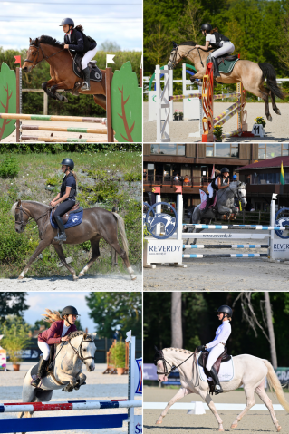 Demi pension poneys de sport