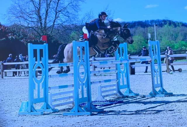 Poney de concours