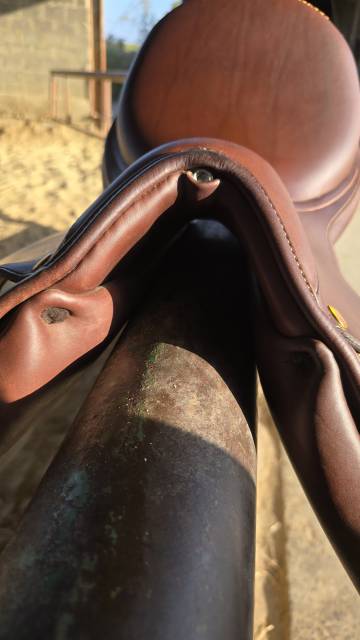 Selle acavallo bernina