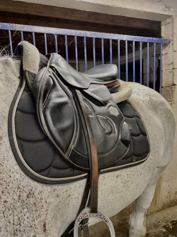 Selle time rider 