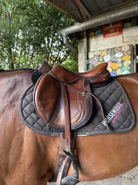 Selle cwd 