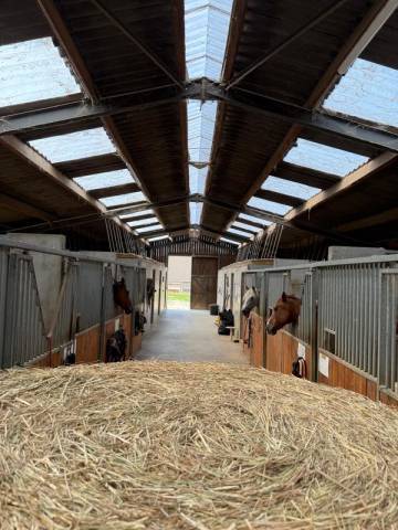 Pension équine – écuries dc équitation – lyon est