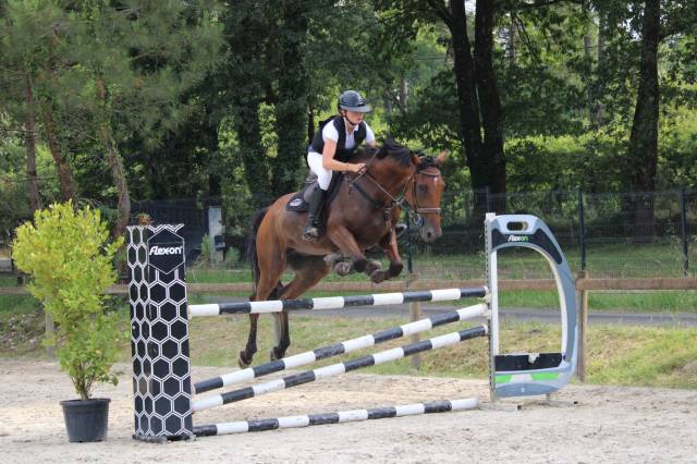 Cheval polyvalent,  parfait pour cross ou cso 