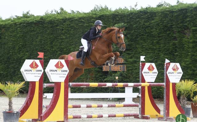 Hongre - 168cm - cso