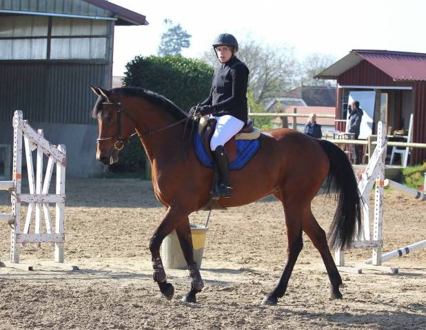 Tres belle jument 12 ans 