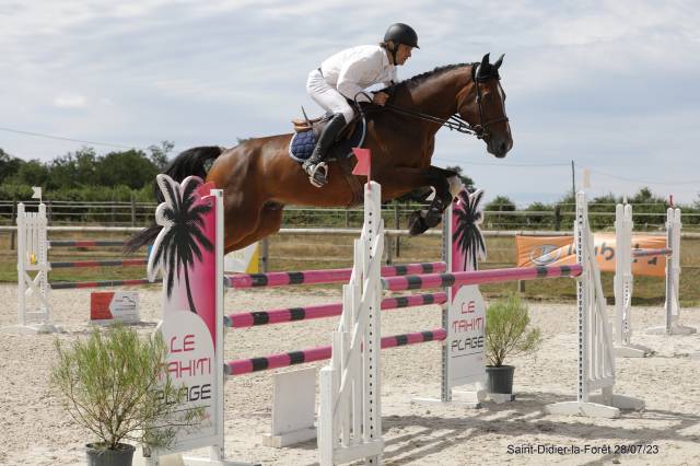 Hongre 9 ans prêt sur 125/130