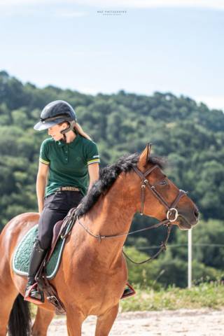 Hongre poney d 6 ans cso par linaro