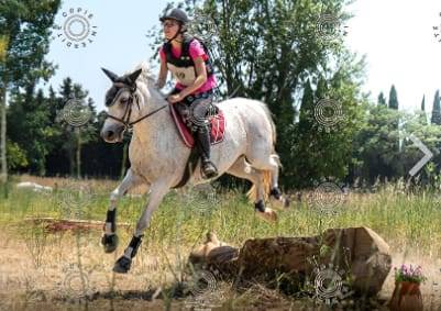 Ponette connemara de 12 ans 