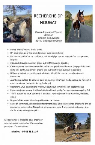 Recherche dp poney bordeaux