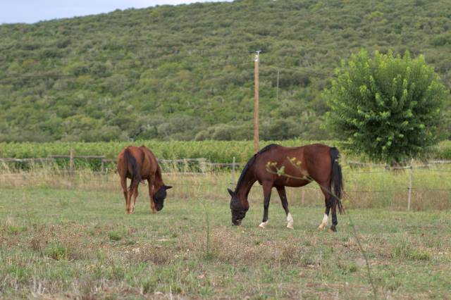 Pensions disponibles dans le var (83)