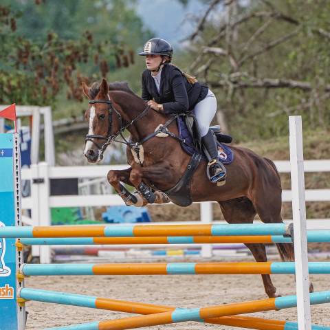 Pony c