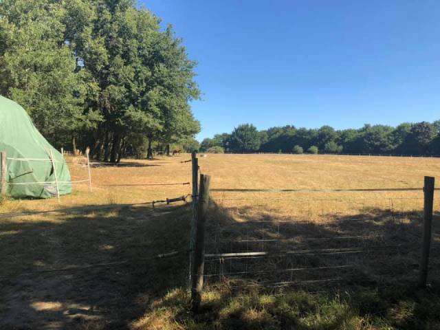 Pension pré cheval - commune de sautron