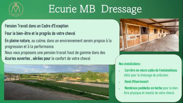 Pension travail dans écurie de dressage