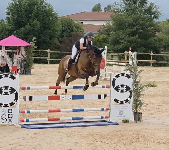 Haltane de morenol 8 ans par ogrion des champs
