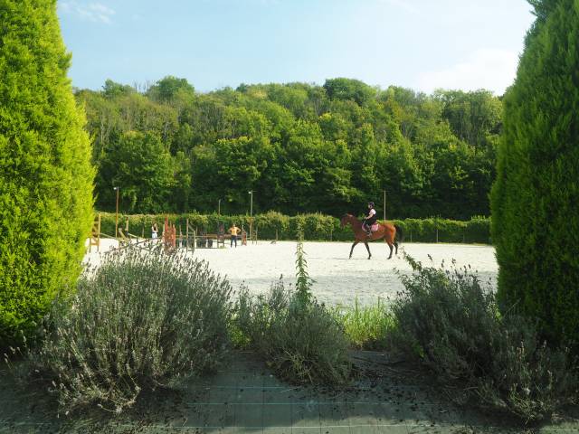 La perle écurie -  pension chevaux 77 nord