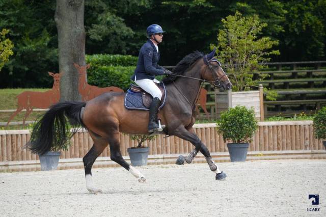 Jument 6 ans taloubet × clinton 