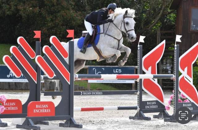 A vendre poney cso