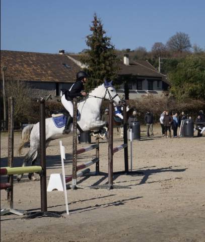 Poney