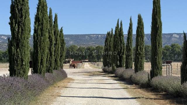 Très beau centre d'entrainement en provence