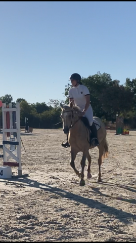 Jument poney de sport et loisirs 