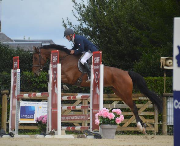 Chevaux 3- 4 ans