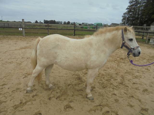 Ponette onc
