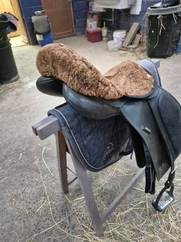 Selle wintec 500