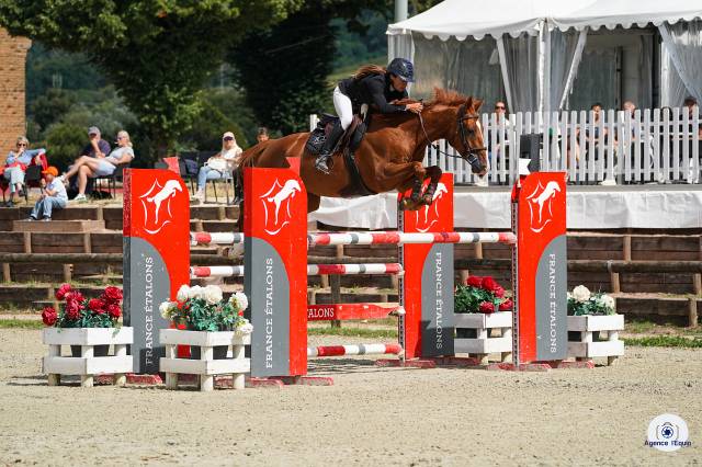 Jakpot de la vierouck    hongre // 6 ans // 165 cm 
