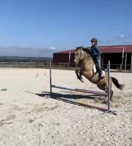 Poney par rasmus 10 ans