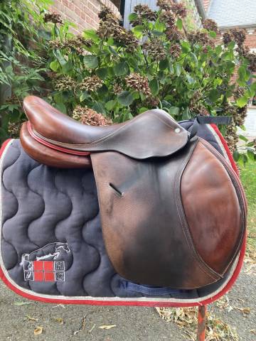 Selle godignon