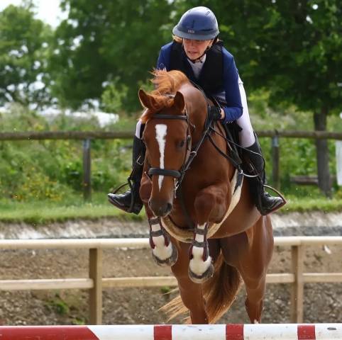 Jolie jument 4 ans