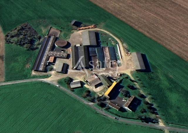 Exploitation laitière avec excellente génétique sur 142 ha de