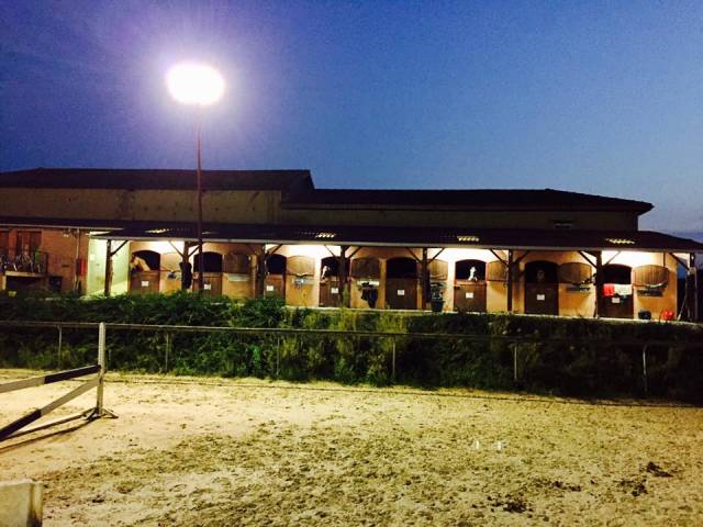 Propriété équestre et locatif 4 hectares