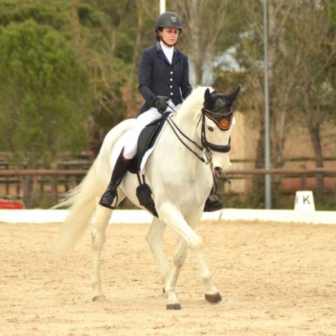 Cheval de balade