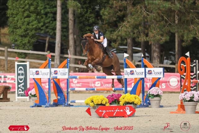Super cheval de cso amateur / amateur élite