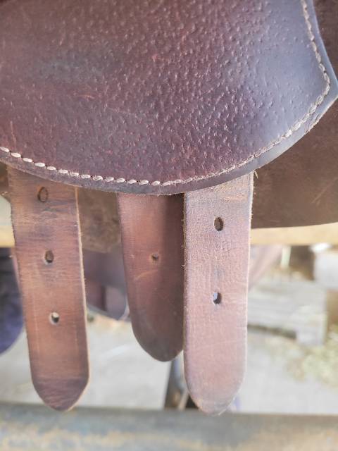 Selle gbs